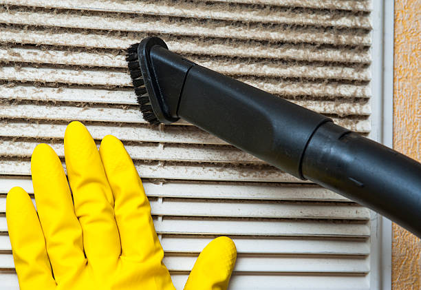 Best Professional Duct Cleaning Services  in Brady, TX